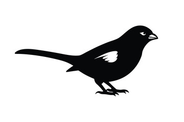 House sparrow silhouette vector bundle  illustration, House Sparrow Silhouette Vector Bundle  Black Bird Illustrations on White Background

