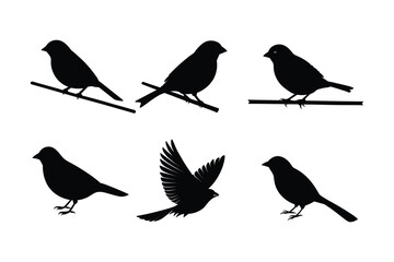 House sparrow silhouette vector bundle  illustration, House Sparrow Silhouette Vector Bundle  Black Bird Illustrations on White Background

