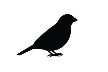House sparrow silhouette vector bundle  illustration, House Sparrow Silhouette Vector Bundle  Black Bird Illustrations on White Background

