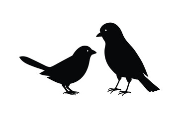 House sparrow silhouette vector bundle  illustration, House Sparrow Silhouette Vector Bundle  Black Bird Illustrations on White Background

