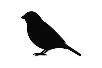 House sparrow silhouette vector bundle  illustration, House Sparrow Silhouette Vector Bundle  Black Bird Illustrations on White Background

