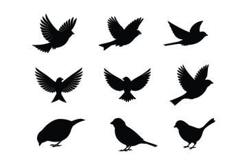 House sparrow silhouette vector bundle  illustration, House Sparrow Silhouette Vector Bundle  Black Bird Illustrations on White Background

