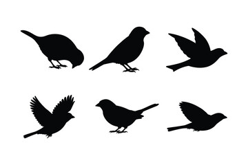 House sparrow silhouette vector bundle  illustration, House Sparrow Silhouette Vector Bundle  Black Bird Illustrations on White Background

