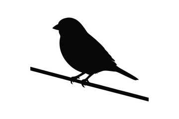 House sparrow silhouette vector bundle  illustration, House Sparrow Silhouette Vector Bundle  Black Bird Illustrations on White Background


