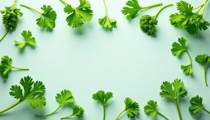 Flat lay parsley sprigs forming geometric pattern, leaves, graphic, aesthetic