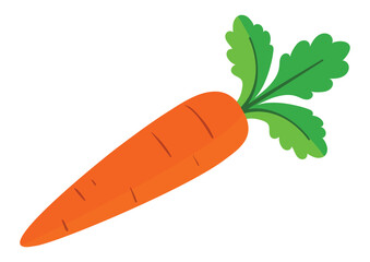 carrot vector illustration