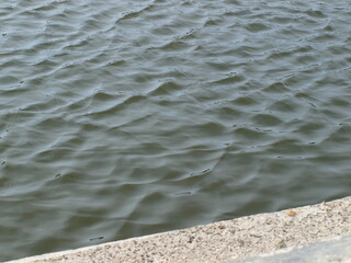Water ripples waves by the wind