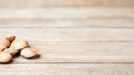 Pile of seashells on light wooden surface. Summer vacation, beach, ocean, coastal theme concept.