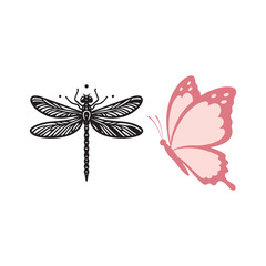 set of butterflies
