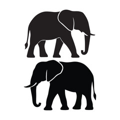 Fototapeta premium elephant vector illustration