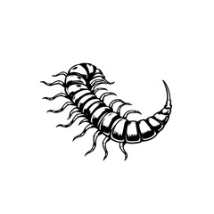 Centipede illustration black and white design