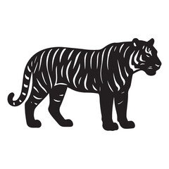 tiger vector illustration
