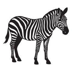 zebra vector illustration