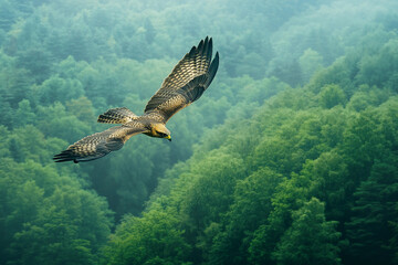 Fototapeta premium Generative AI image of majestic golden eagle with wings fully spread standing on tree branch in summer forest wildlife scene