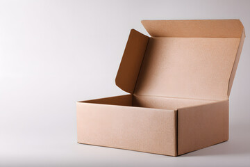 Blank Cardboard Delivery Box