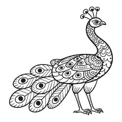 Elegant form and vibrant plumage, set against a clean white background.