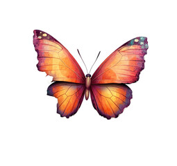 Obraz premium Orange Butterfly Illustration