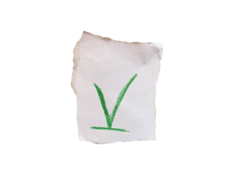 Torn white paper with a green check mark symbol hand drawn in crayon on transparent background