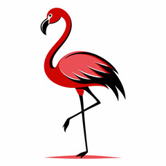 Pink flamingo bird animal vector illustration isolated on white