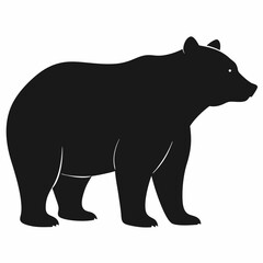 Black vector silhouette of a wild bear, isolated on white