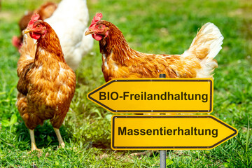 Zwei Wegweiser zeigen in unterschiedliche Richtungen und sind beschriftet mit dem Aufdruck...