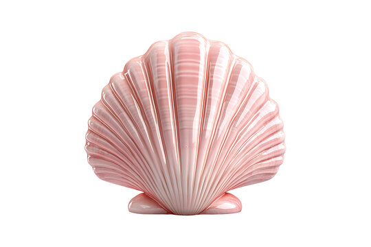 pink sea shell isolated on a transparent background.