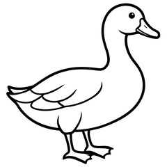duck