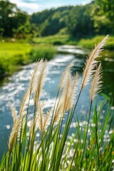 Obraz premium Golden Grass Sways Gently Near a Serene River Surrounded by Lush Greenery in Spring Season