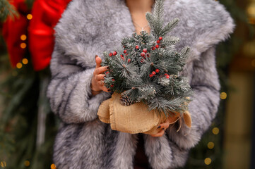 hands caucasian girl in fur coat in winter holding christmas tree in hands. christmas and new year...