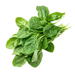 Fototapeta premium Fresh Spinach Leaves Green Healthy Food,