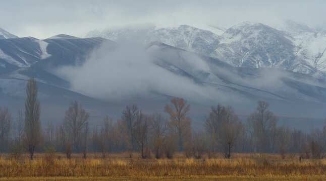 Picturesque autumn landscape with bare trees in a field against the backdrop of a mountain range