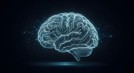 3D rendered blue transparent x-ray illustration of a human brain showing medical anatomy and intelligence