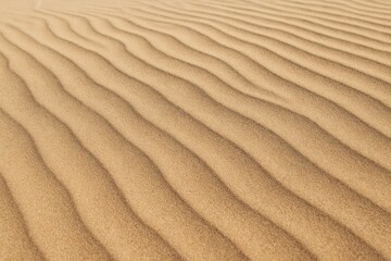 Fototapeta premium Golden sand with soft wind-created ripples forming parallel lines. Ideal for desert-themed backgrounds or natural texture compositions.