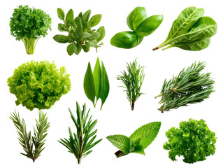 Obraz premium Assortment of Fresh Green Herbs: Showcasing a vibrant selection of herbs, capturing their unique textures and hues, and creating a visually appealing arrangement for culinary inspiration.