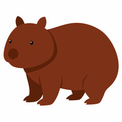 Obraz premium Wombat with white background 