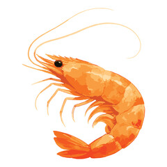 shrimp in watercolor illustration style, isolated vector on white background