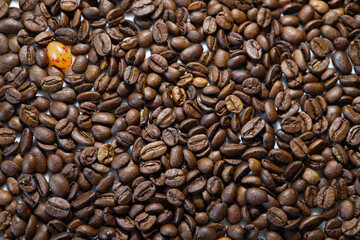 Bright Jelly Bean Among Aromatic Coffee Beans