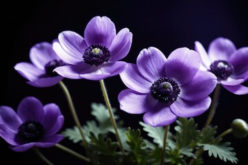 Fototapeta premium A cluster of purple flowers sits atop a lush green plant