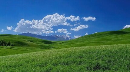 Fototapeta premium Serene Green Hills Landscape with Majestic Snowy Mountains under a Blue Sky