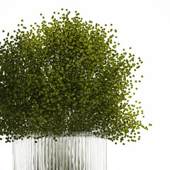 3D illustration Lush beautiful bouquet of cherry blossom branches with green leaves in a modern glass vase sakura flowers isolated on white background