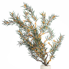 3D illustration Small Minimalistic Bouquet Vase Olive Branches isolated on white background
