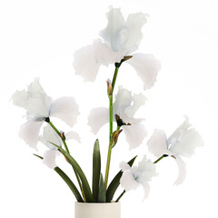 3D illustration Beautiful Bouquet In Glass Vase With Flowers Iris isolated on white background