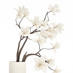 3D illustration Bouquet Sakura Branches Cherry Blossom Magnolia  isolated on white background