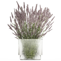 3D illustration Bouquet Of Wild Flowers In Vase Lavender poppy isolated on white background