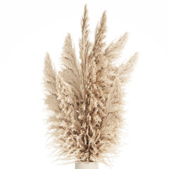 3D illustration Floral white bouquet of dried flowers with branches of cortaderia pampas