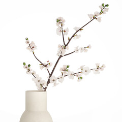 3D illustration Bouquet Sakura Branches Cherry Blossom Magnolia  isolated on white background