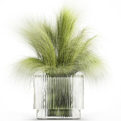 3D illustration Lush beautiful bouquet of cherry blossom branches with green leaves in a modern glass vase sakura flowers isolated on white background