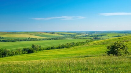 Fototapeta premium Wide view of a green grassy landscape under a clear sky. Possible use for desktop wallpaper