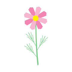 シンプルなコスモスのイラスト：秋の植物・デザイン素材 - Simple Cosmos Flower Illustration: Autumn Plant and Design Material