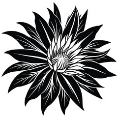 Adobe Illustrator ArtworkTrout Lily Flower Single Line Drawing with Editable Stroke and Boho Color Elements